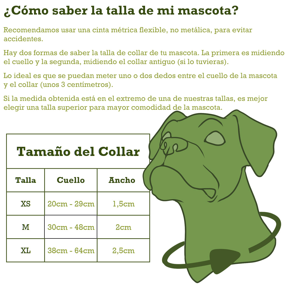 Pack Collar y Correa Colorado