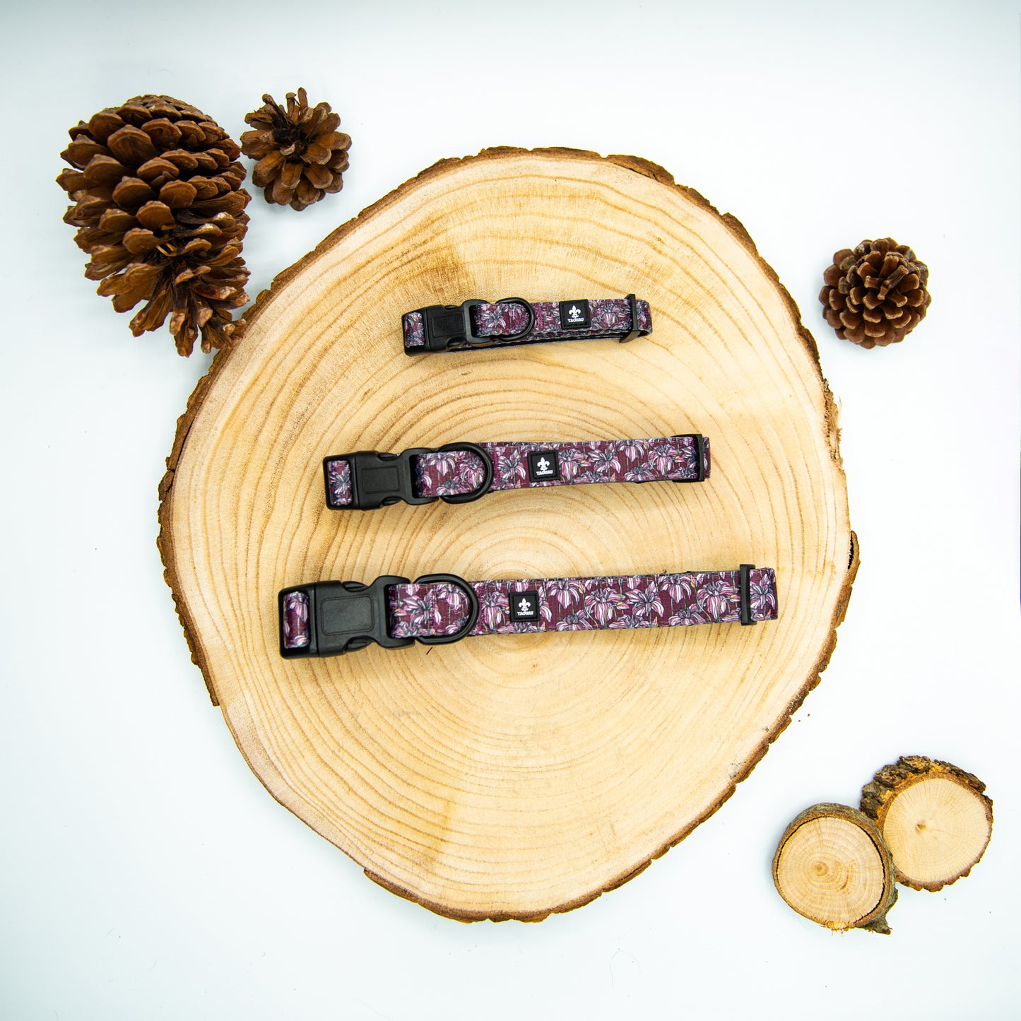 Pack Collar y Correa LilyWine