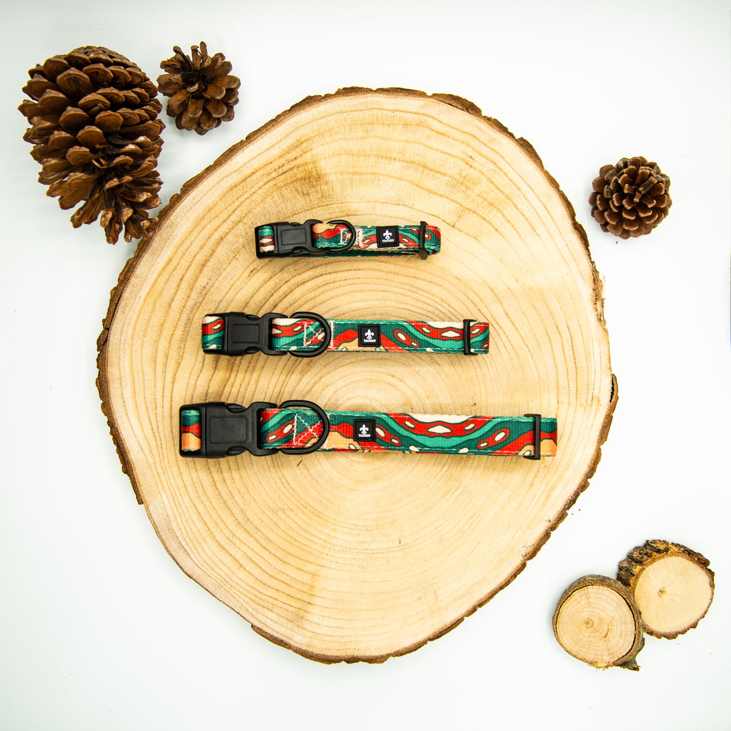 Pack Collar y Correa Colorado