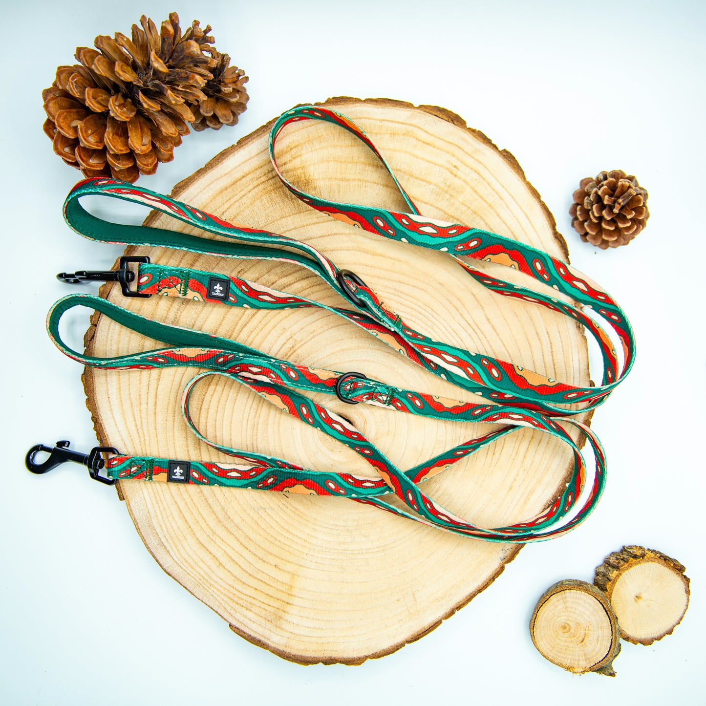 Pack Collar y Correa Colorado