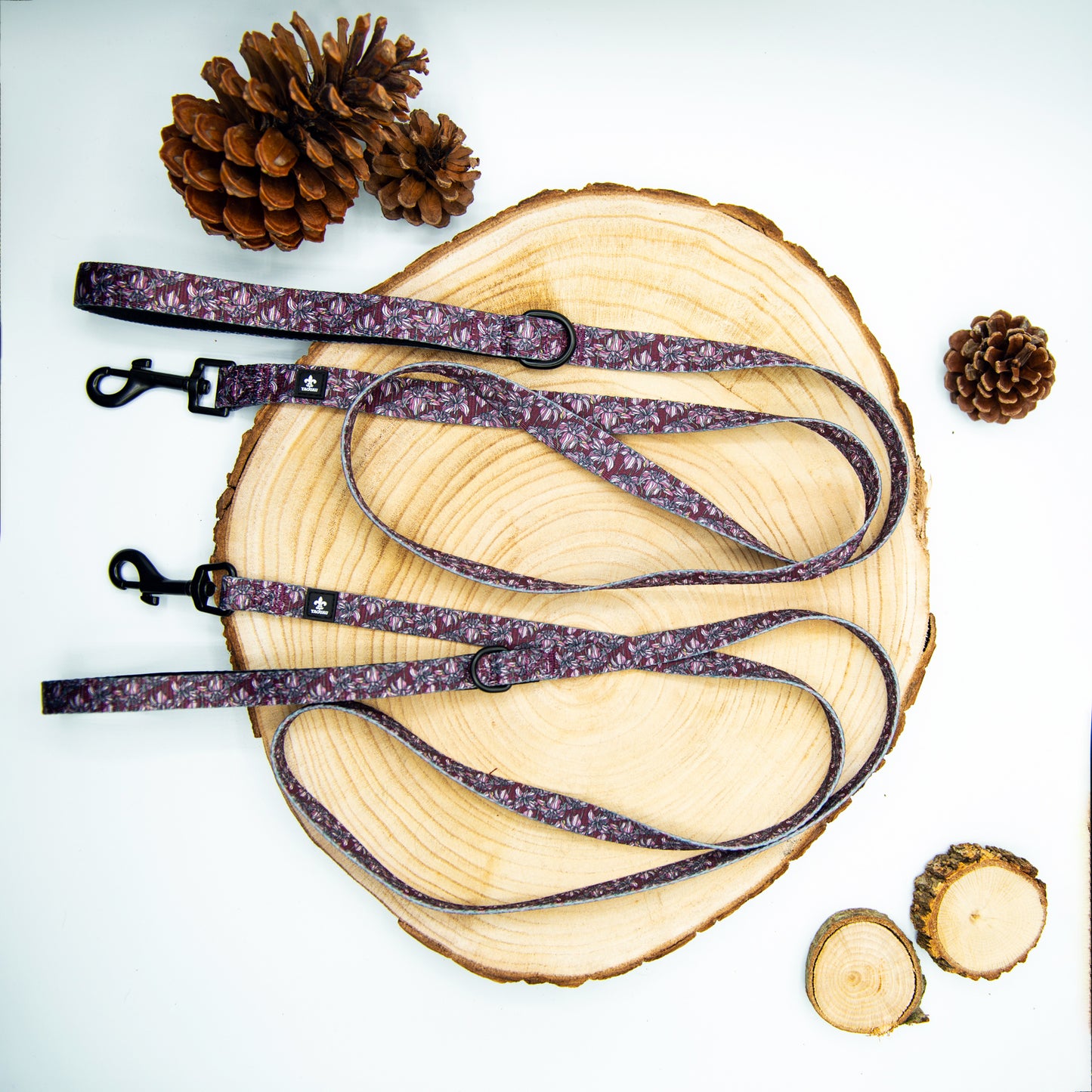 Pack Collar y Correa LilyWine