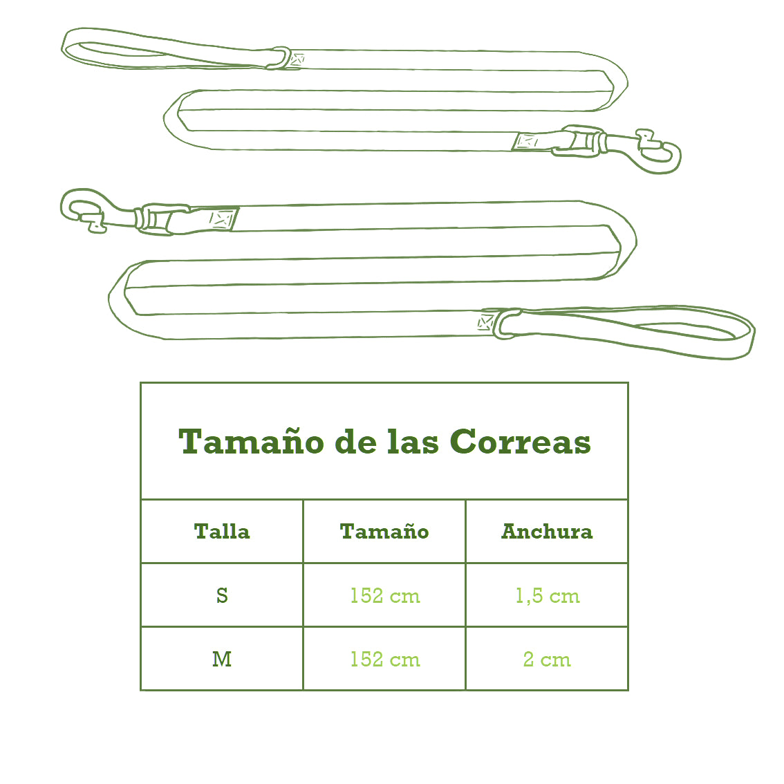 Pack Arnés y Correa Colorado