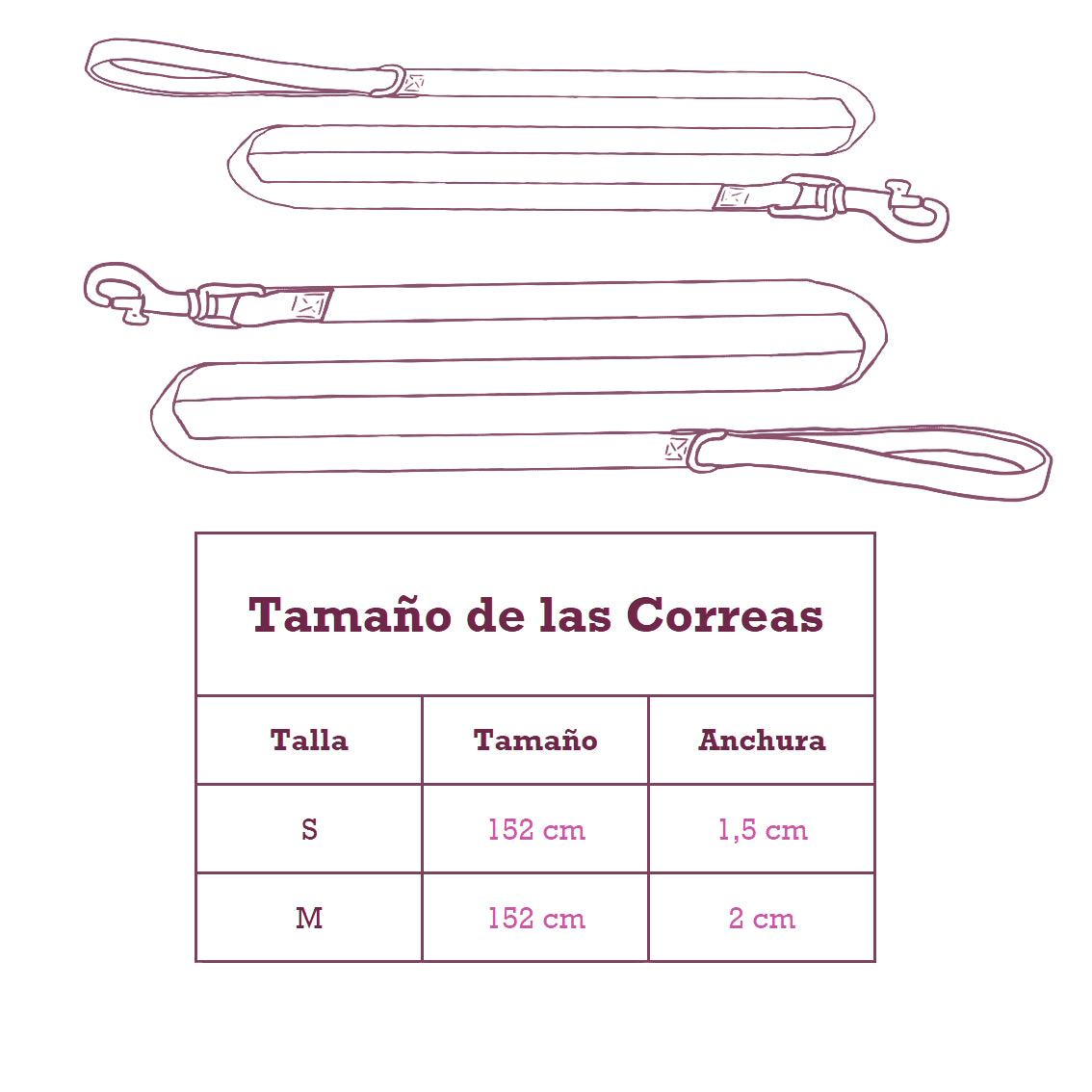 Pack Arnés y Correa LilyWine