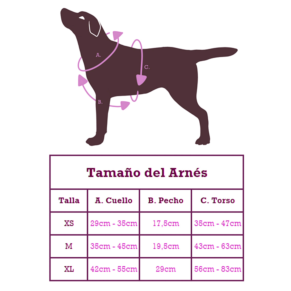 Pack Arnés y Correa LilyWine