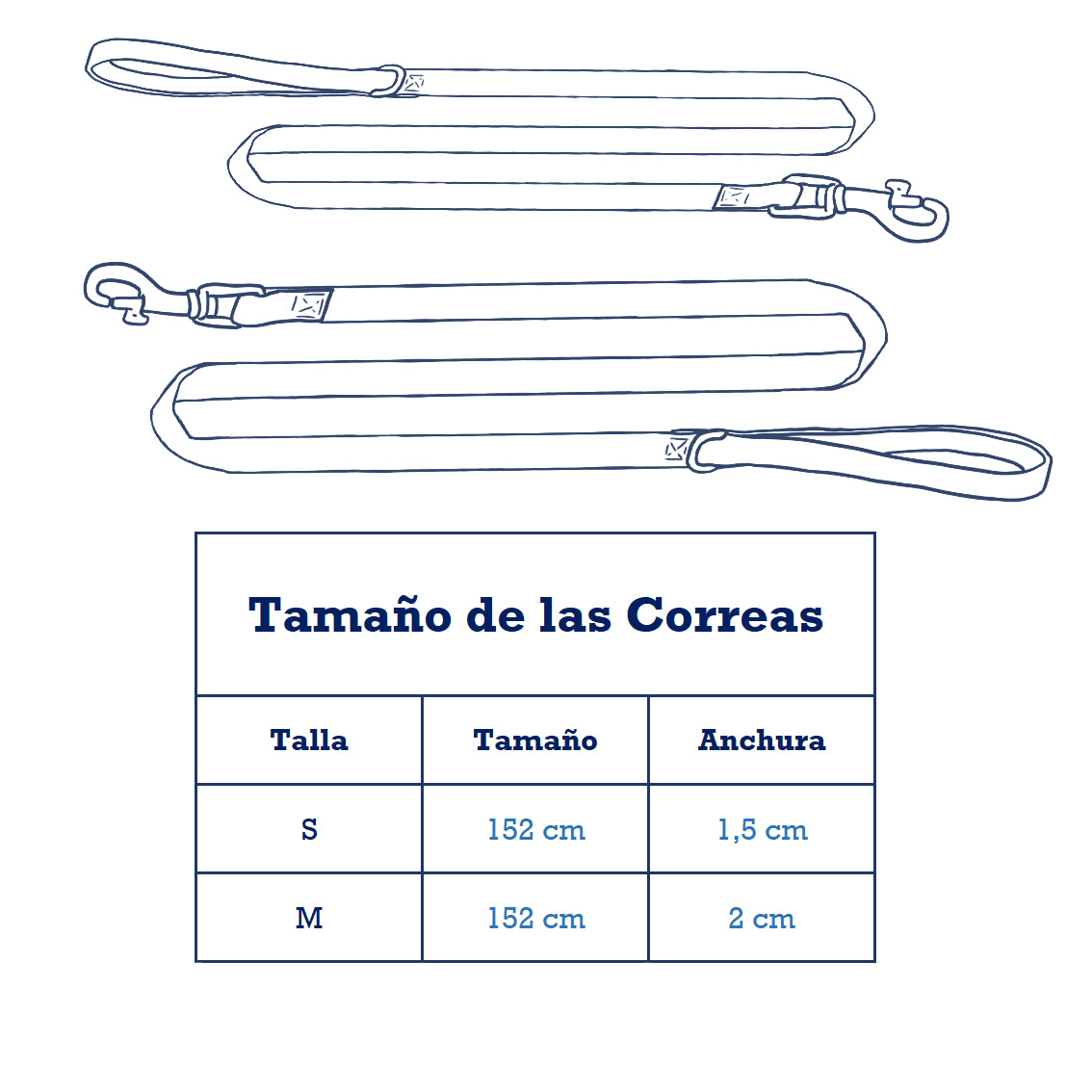 Pack Collar y Correa Bee-Mania